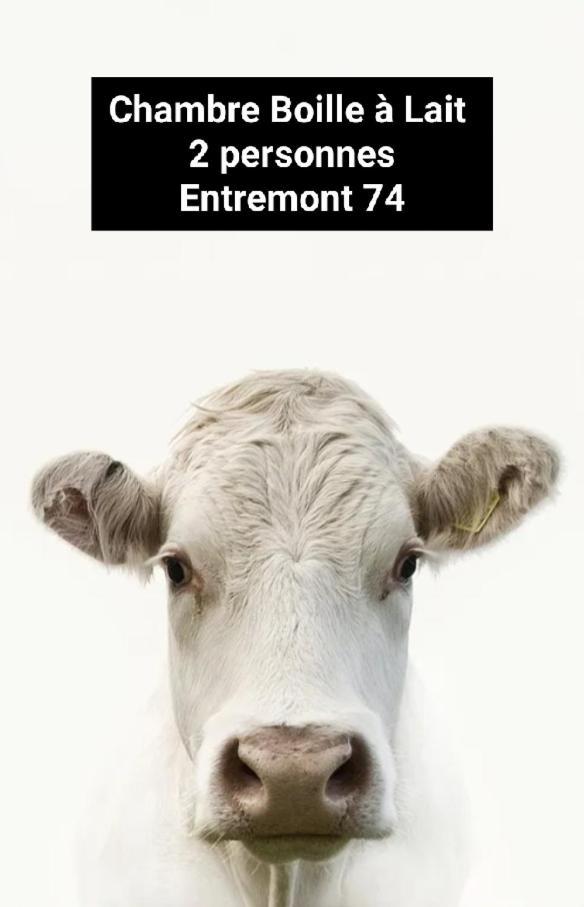 Chambre Trefle Entremont Exteriér fotografie